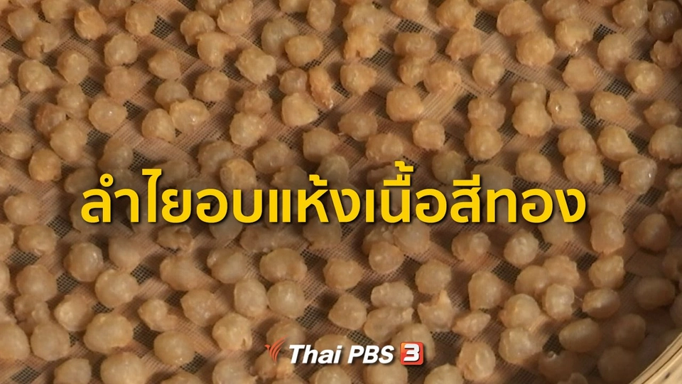 ชุมชนทั่วไทย : แปรรูปลำไยอบแห้งเนื้อสีทอง