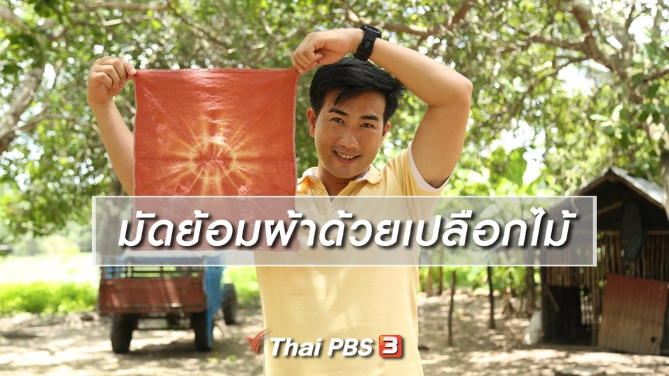 เรียนรู้วิถีไทย : มัดย้อมผ้าด้วยเปลือกไม้
