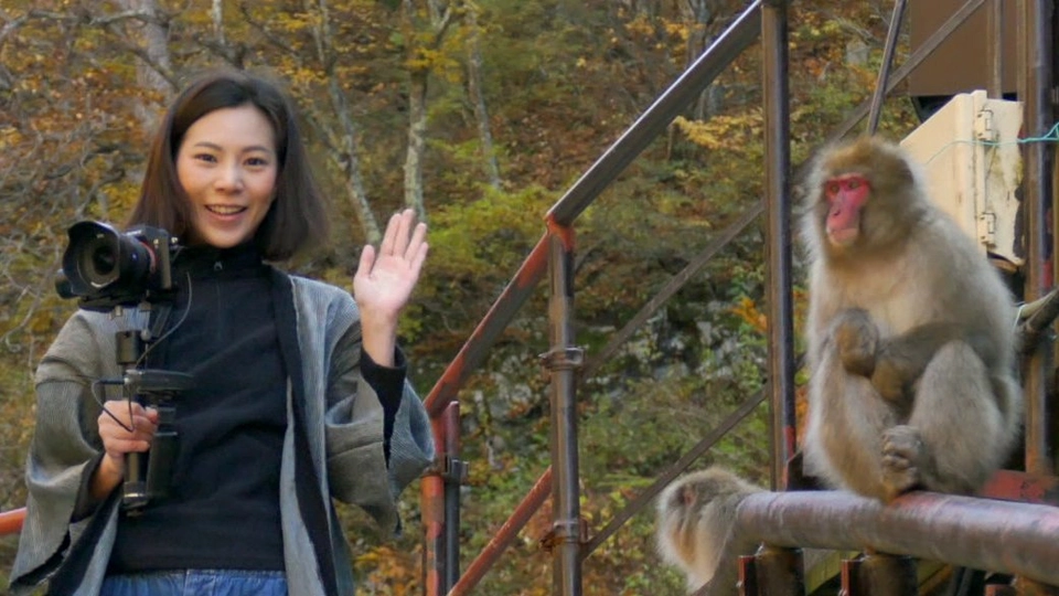 ถ่ายรูปสัตว์ป่าใกล้ๆต้องระวัง