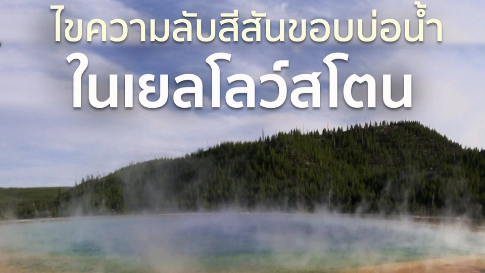 ไขความลับ ในเยลโลว์สโตน