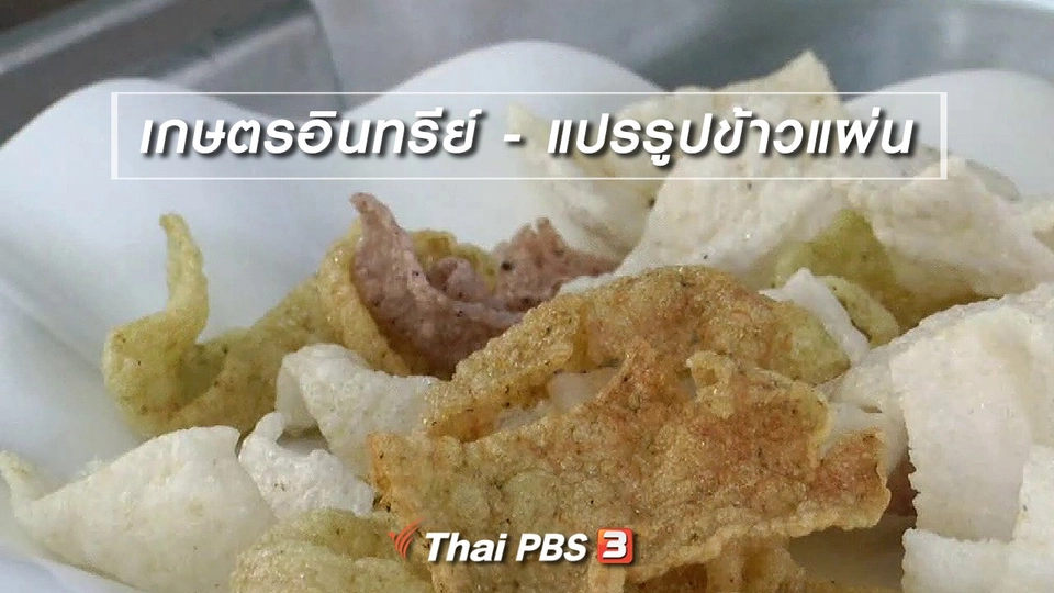 ​ตะลุยทั่วไทย : เกษตรอินทรีย์ - แปรรูปข้าวแผ่น