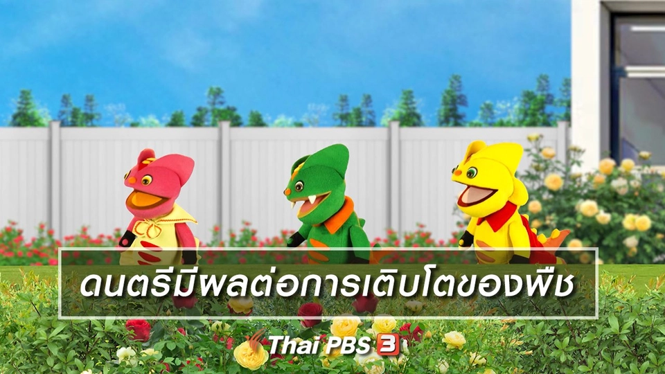 ​เกร็ดน่ารู้กับตาต้าตีตี้โตโต้ : ดนตรีมีผลต่อการเติบโตของพืช