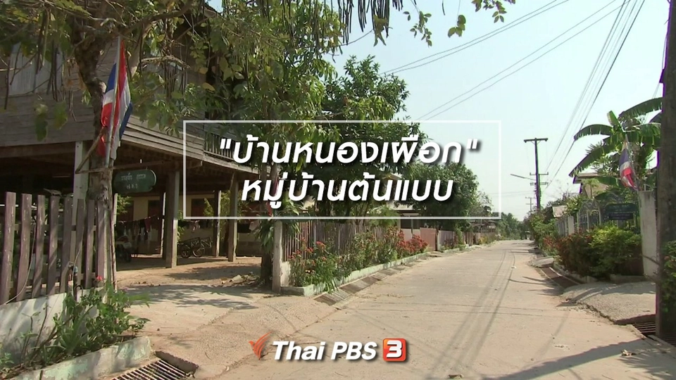 ​ตะลุยทั่วไทย : "บ้านหนองเผือก" หมู่บ้านต้นแบบ