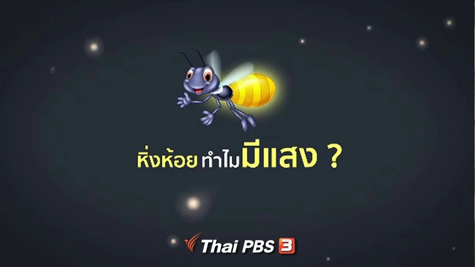 ​หิ่งห้อยทำไมมีแสง ?