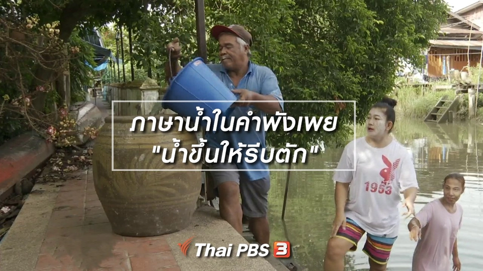เพียงคำเดียว : ภาษาน้ำในคำพังเพย "น้ำขึ้นให้รีบตัก"