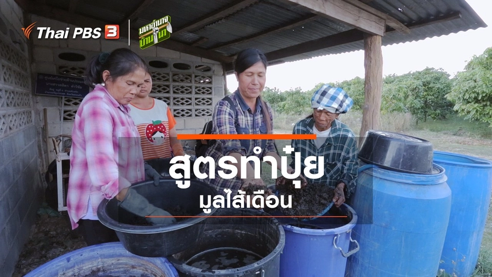 สูตรลับฉบับบ้านนา : สูตรทำปุ๋ยมูลไส้เดือน