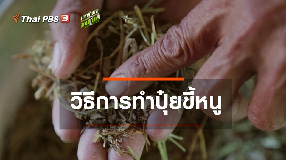 สูตรลับฉบับบ้านนา : วิธีการทำปุ๋ยขี้หนู