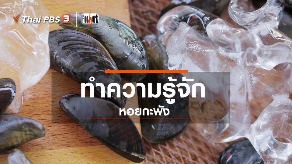 ทำความรู้จักหอยกะพัง