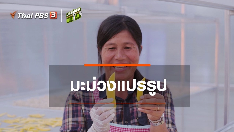 มะม่วงแปรรูป