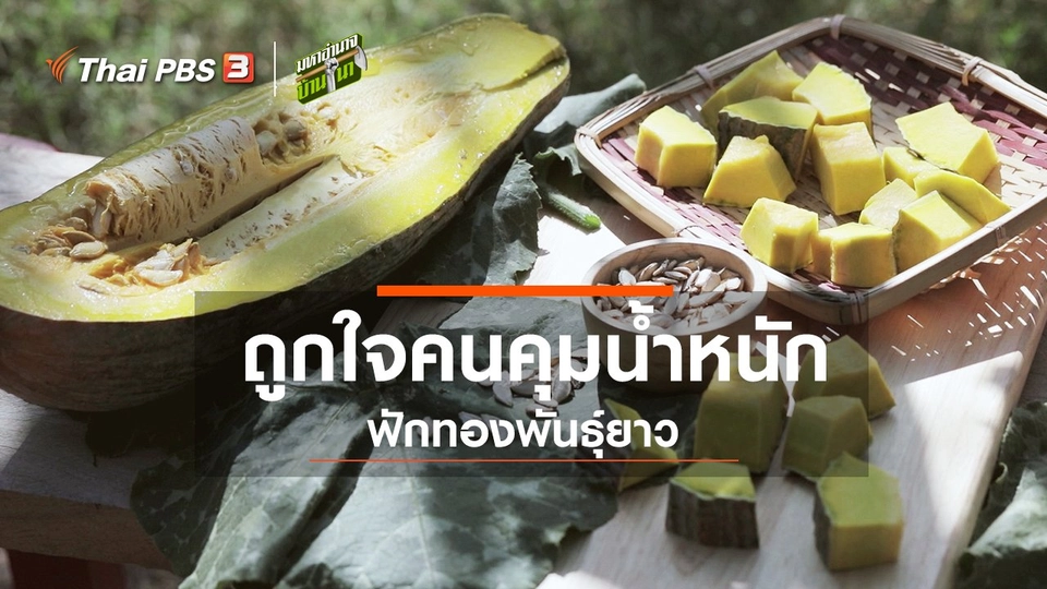 ถูกใจคนคุมน้ำหนัก ฟักทองพันธุ์ยาว