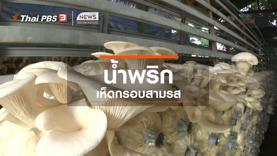​ตะลุยทั่วไทย : น้ำพริกเห็ดกรอบสามรส