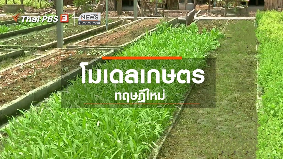​ตะลุยทั่วไทย : โมเดลเกษตรทฤษฎีใหม่