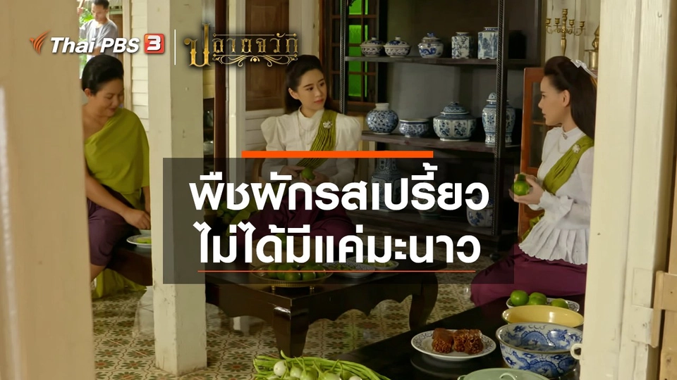 ​พืชผักรสเปรี้ยว ไม่ได้มีแค่มะนาว