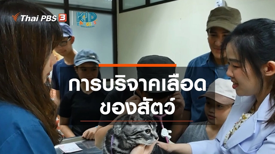 ​คิดส์เรียนรู้ : การบริจาคเลือดของสัตว์