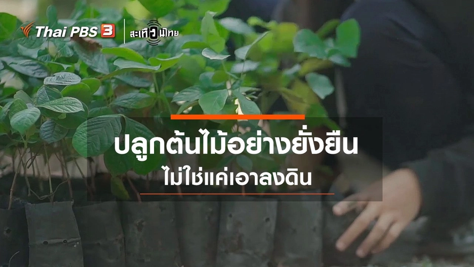 ​ปลูกต้นไม้ ไม่ใช่แค่เอาลงดิน