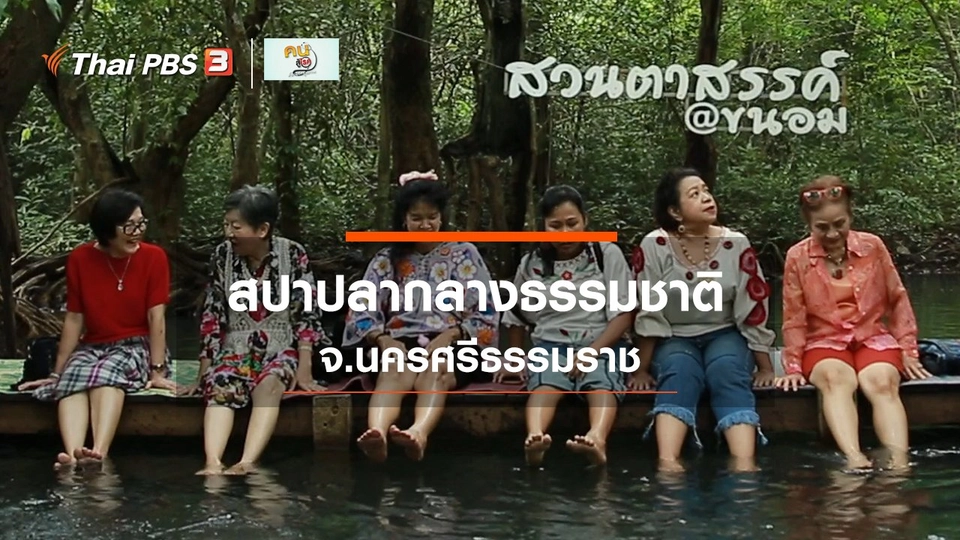 รู้สู้โรค : สปาปลากลางธรรมชาติ จ.นครศรีธรรมราช