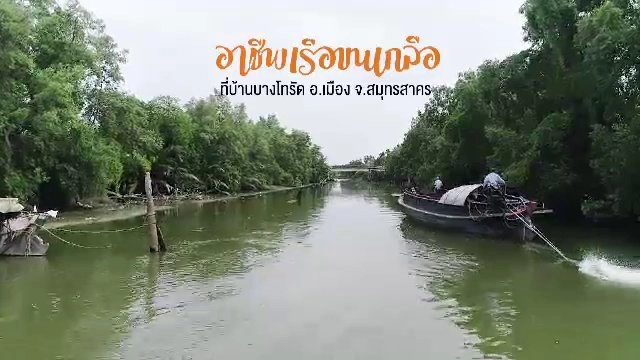 ​อาชีพเรือขนเกลือ