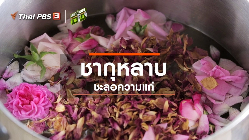 ชากุหลาบชะลอความแก่