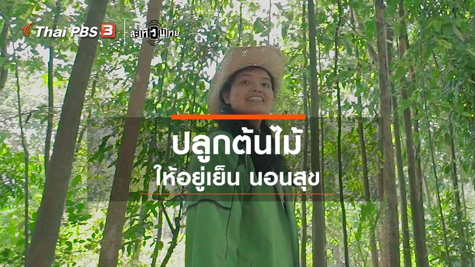 "ปลูกต้นไม้" ให้อยู่เย็น นอนสุข