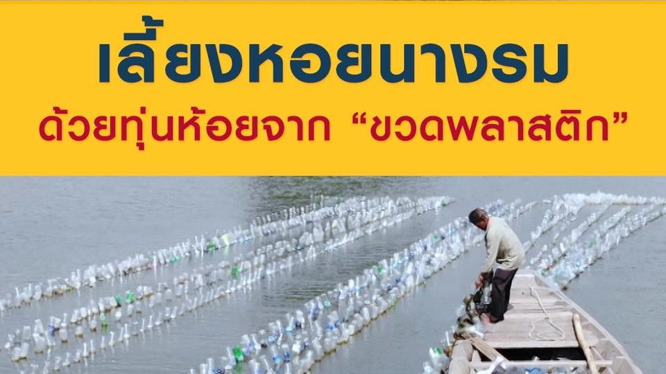 เลี้ยงหอยนางรม ด้วยทุ่นห้อยจาก "ขวดพลาสติก"