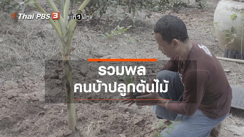 รวมพลคนบ้าปลูกต้นไม้