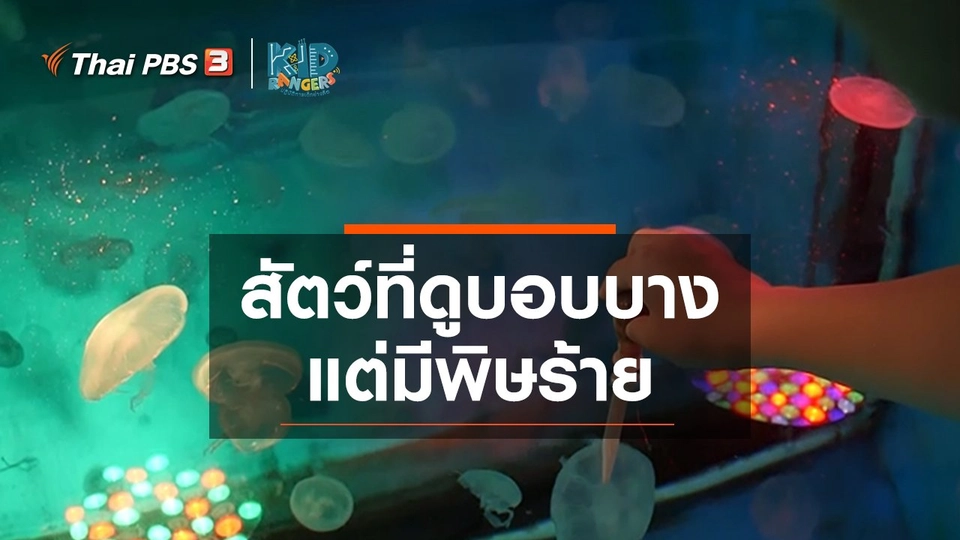 คิดส์เรียนรู้ : สัตว์ที่ดูบอบบาง แต่มีพิษร้าย