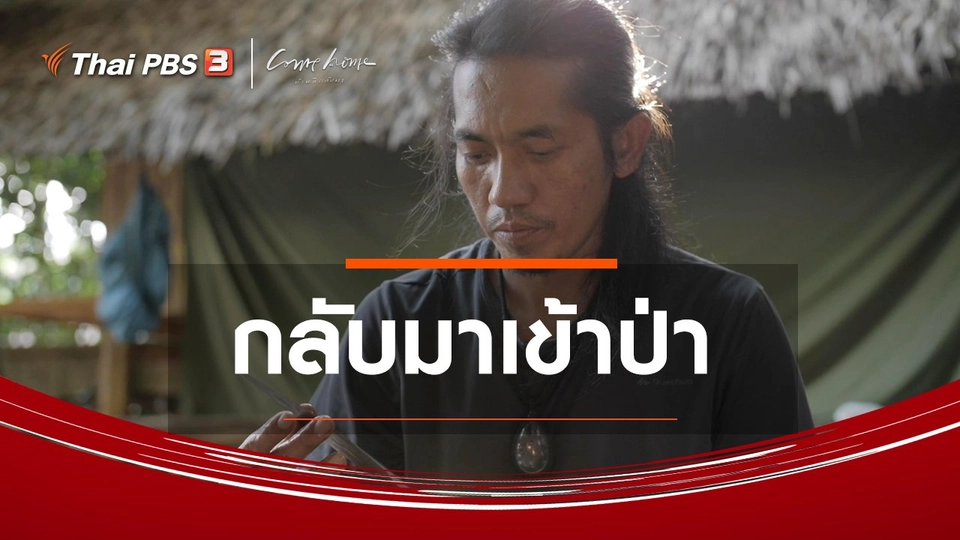 เรื่องเล่าคนกลับบ้าน : กลับมาเข้าป่า