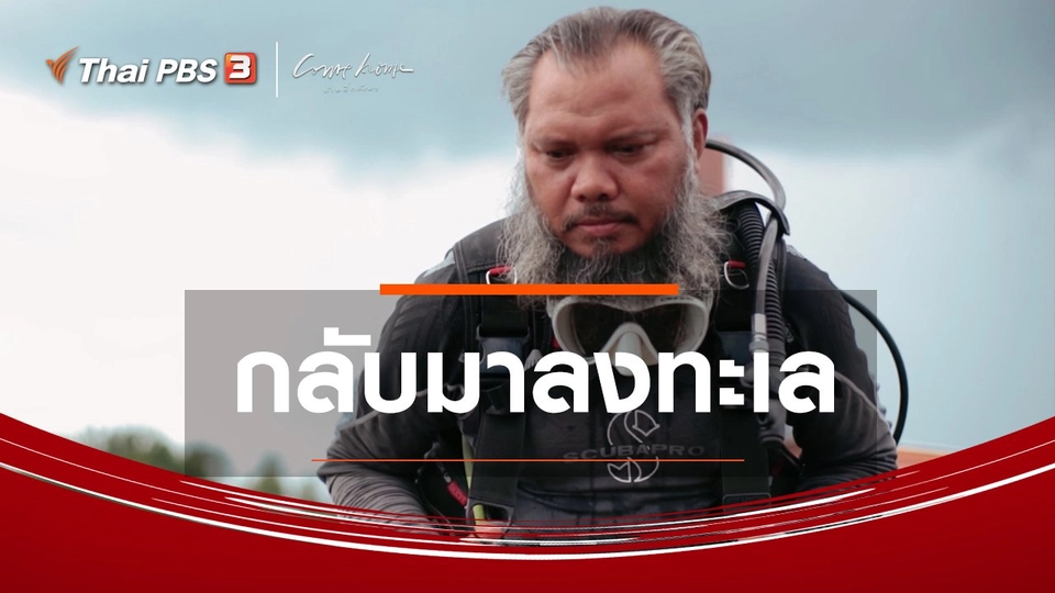 เรื่องเล่าคนกลับบ้าน : กลับมาลงทะเล