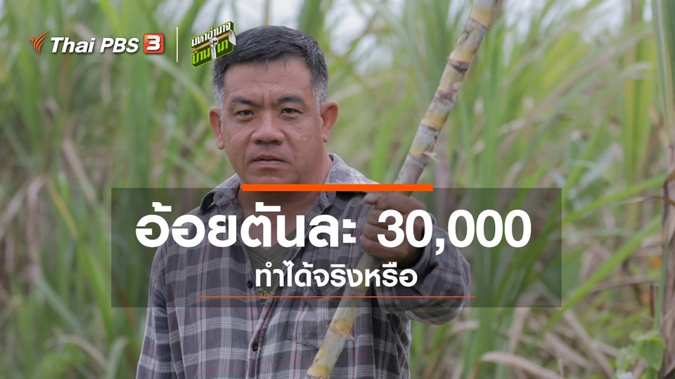อ้อยตันละ 30,000 ทำได้จริงหรือ