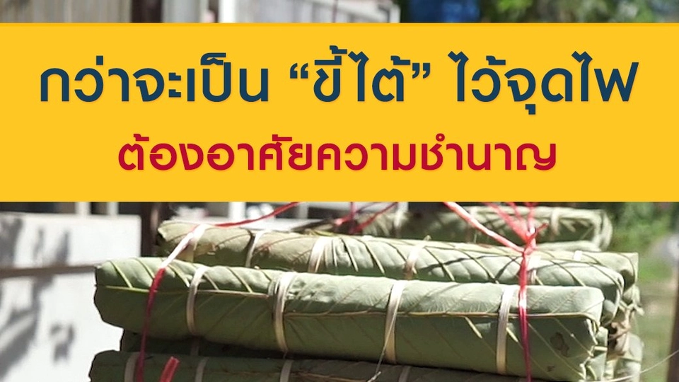 กว่าจะเป็น "ขี้ไต้" ไว้จุดไฟ