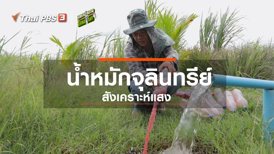 สูตรลับฉบับบ้านนา : น้ำหมักจุลินทรีย์สังเคราะห์แสง