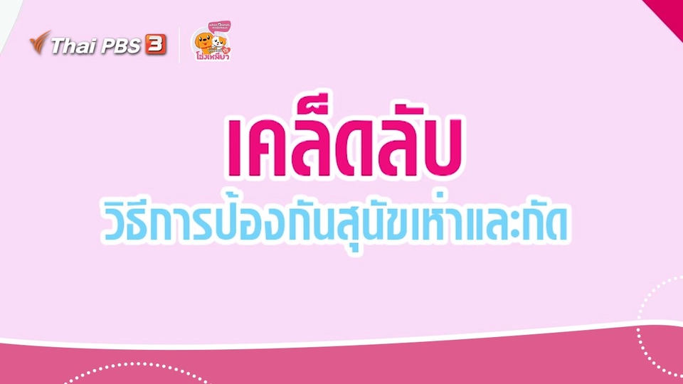 เคล็ดไม่ลับดูแลโฮ่งเหมียว : เคล็ดลับป้องกันสุนัขเห่าและกัด