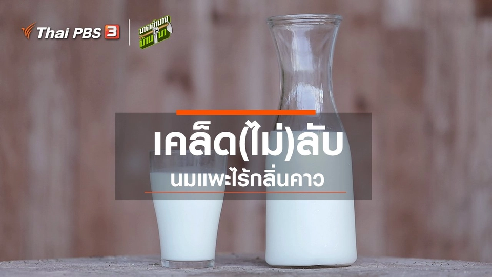 เคล็ด(ไม่)ลับนมแพะไร้กลิ่นคาว