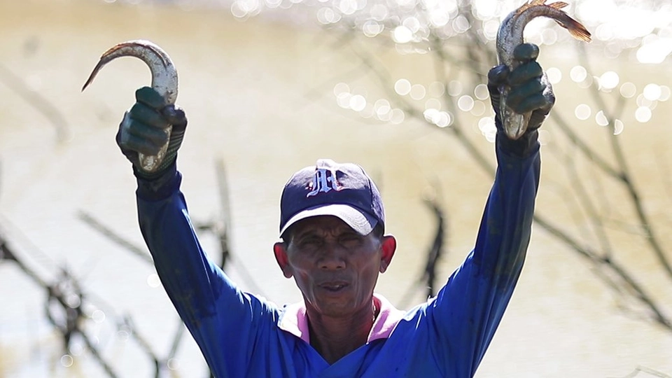 จับปลาด้วยสองมือ ทักษะขั้นเทพที่ต้องยกนิ้วให้