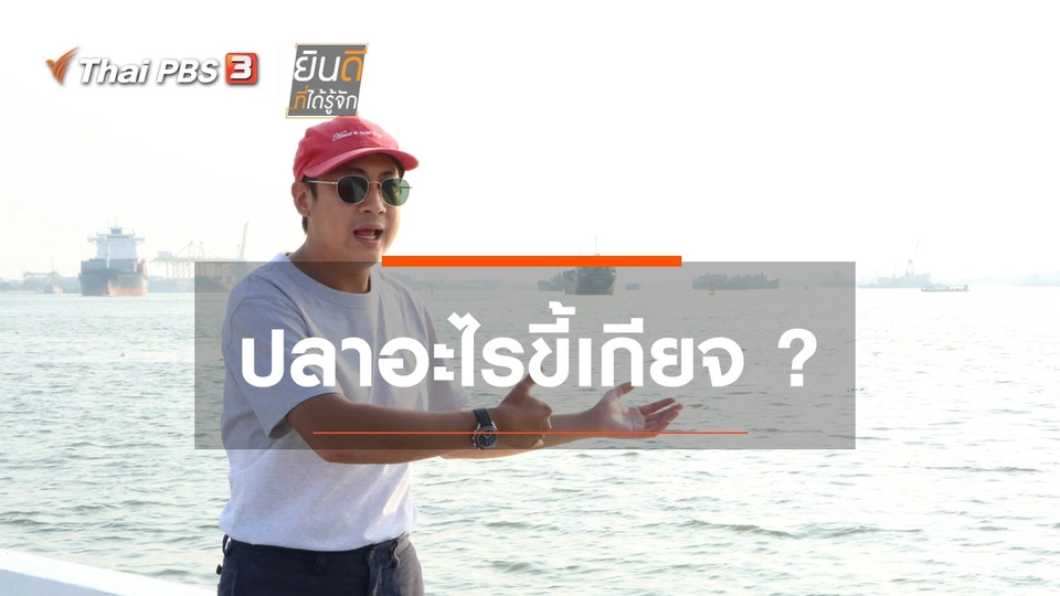 ปลาอะไรขี้เกียจ ?