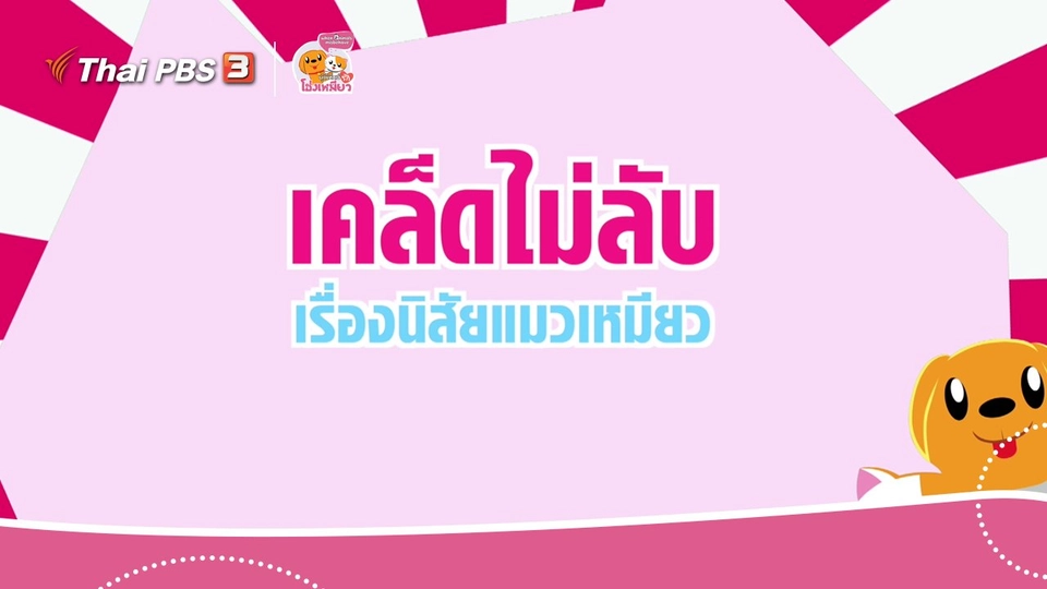 เคล็ดไม่ลับดูแลโฮ่งเหมียว : เคล็ดไม่ลับเรื่องนิสัยแมวเหมียว