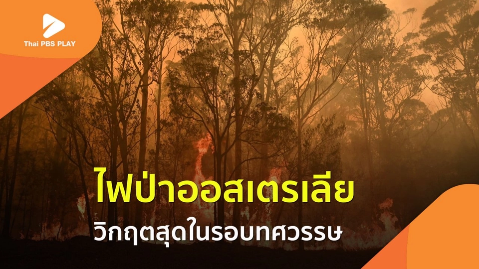 ไฟป่าออสเตรเลีย วิกฤตสุดในรอบทศวรรษ