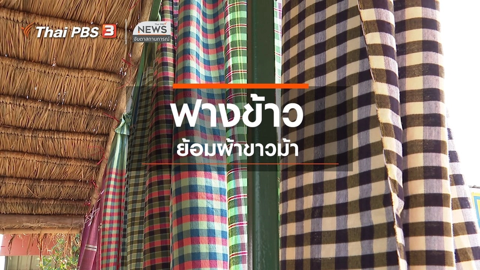 ตะลุยทั่วไทย : ฟางข้าวย้อมผ้าขาวม้า