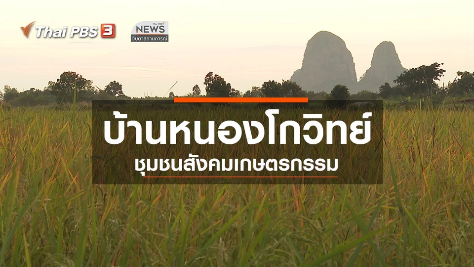ตะลุยทั่วไทย : บ้านหนองโกวิทย์ ชุมชนสังคมเกษตรกรรม