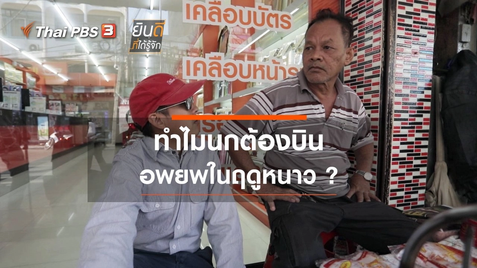 ทำไมนกต้องบินอพยพในฤดูหนาว ?