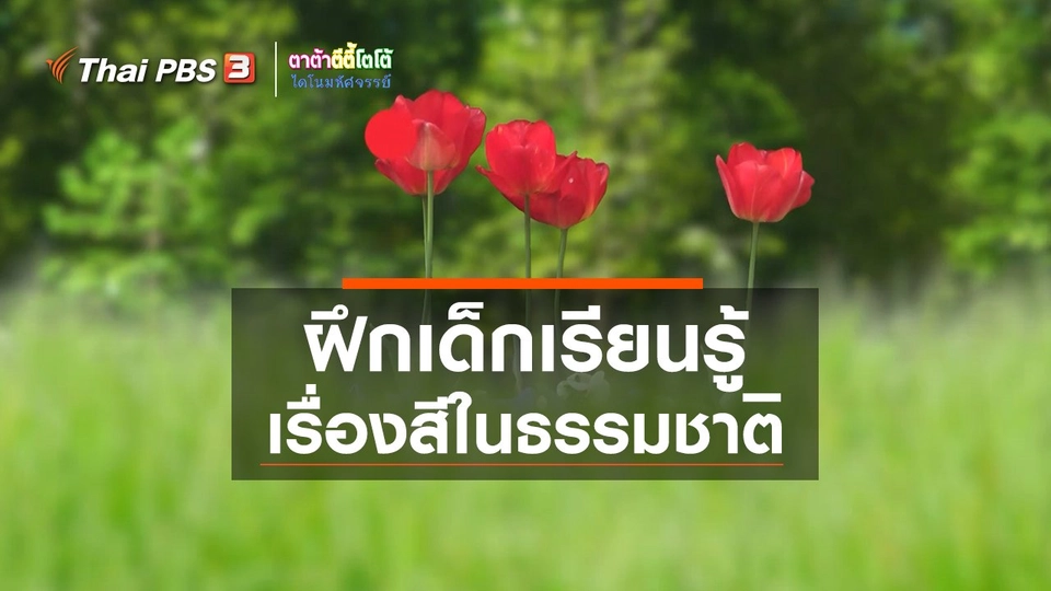 เกร็ดน่ารู้กับตาต้าตีตี้โตโต้ : การฝึกให้เด็กเรียนรู้เรื่องสีในธรรมชาติ