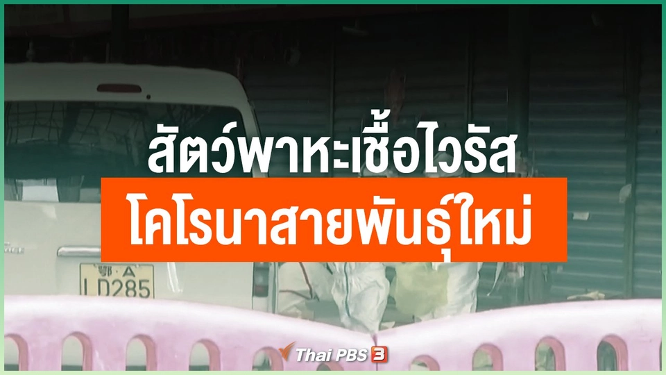 สัตว์พาหะเชื้อไวรัสโคโรนาสายพันธุ์ใหม่