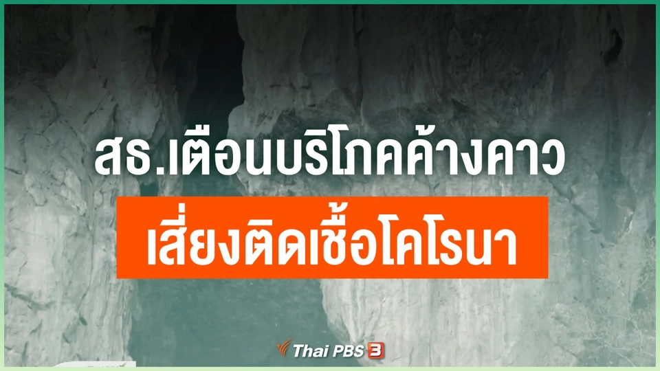 สธ.เตือนบริโภคค้างคาวเสี่ยงติดเชื้อโคโรนา