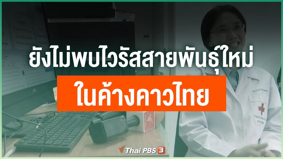 ยังไม่พบไวรัสสายพันธุ์ใหม่ ในค้างคาวไทย