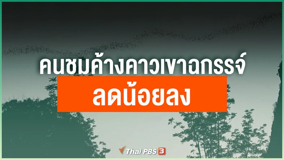 คนชมค้างคาวเขาฉกรรจ์ลดน้อยลง