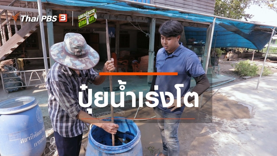 สูตรลับฉบับบ้านนา : ปุ๋ยน้ำเร่งโต