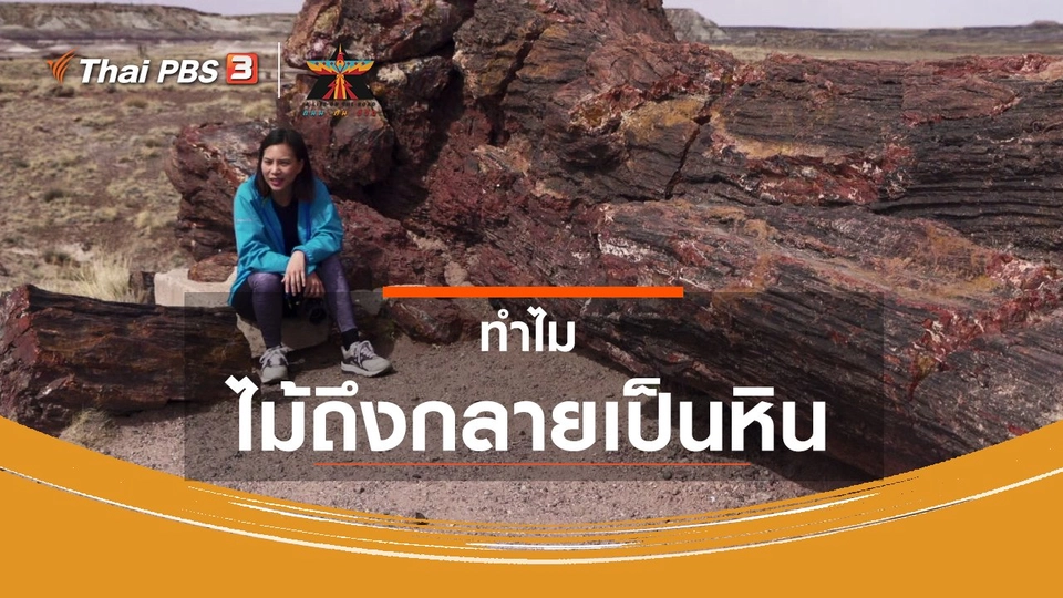 เรื่องเล่าการเดินทาง : ทำไมไม้ถึงกลายเป็นหิน