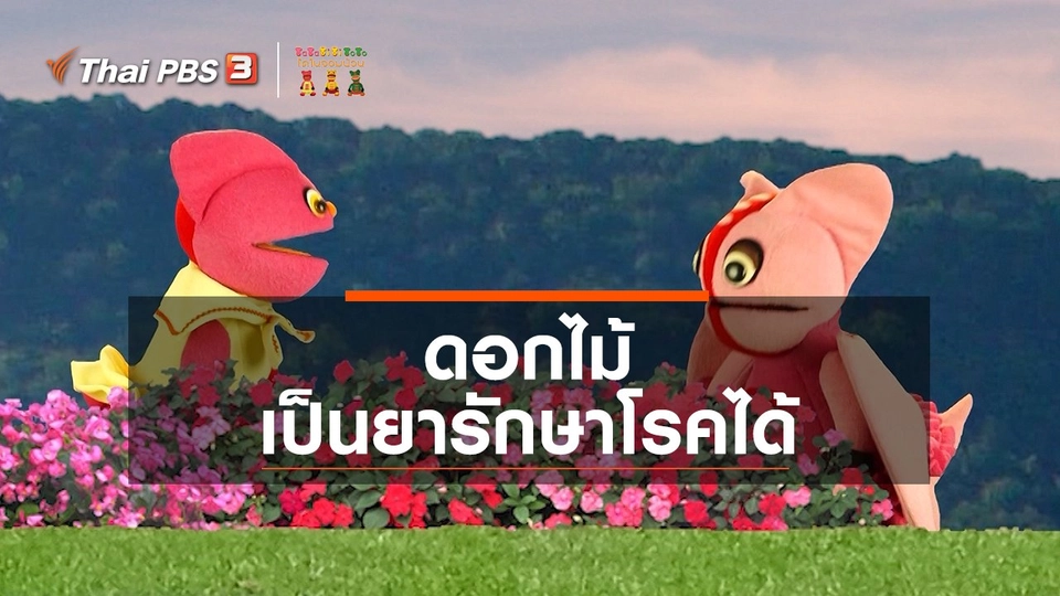 ​เกร็ดน่ารู้กับตาต้าตีตี้โตโต้ : ดอกไม้เป็นยารักษาโรคได้