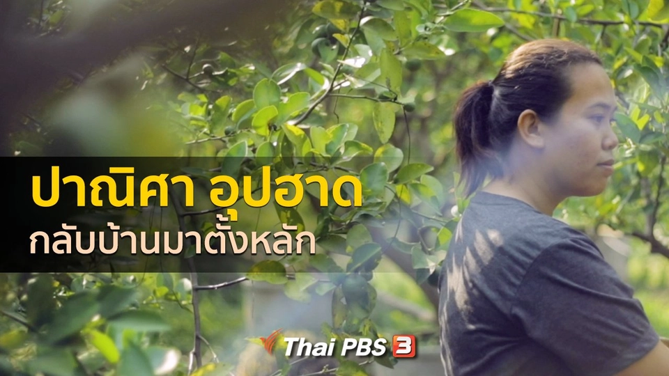 เรื่องเล่าคนกลับบ้าน : กลับบ้านมาตั้งหลัก