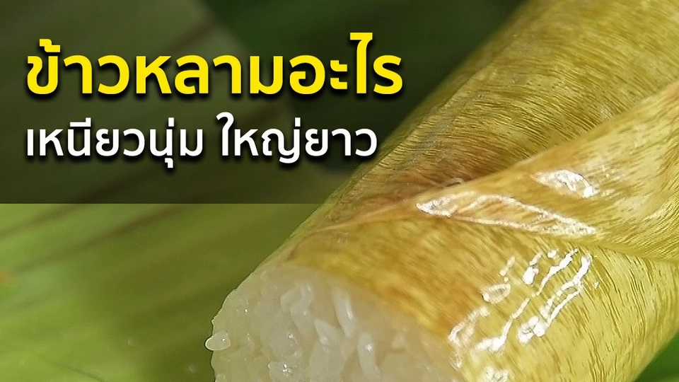ข้าวหลามอะไร เหนียวนุ่ม ใหญ่ยาว